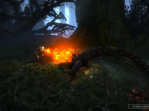 下月发售 《巫师2》实际游戏截图公布