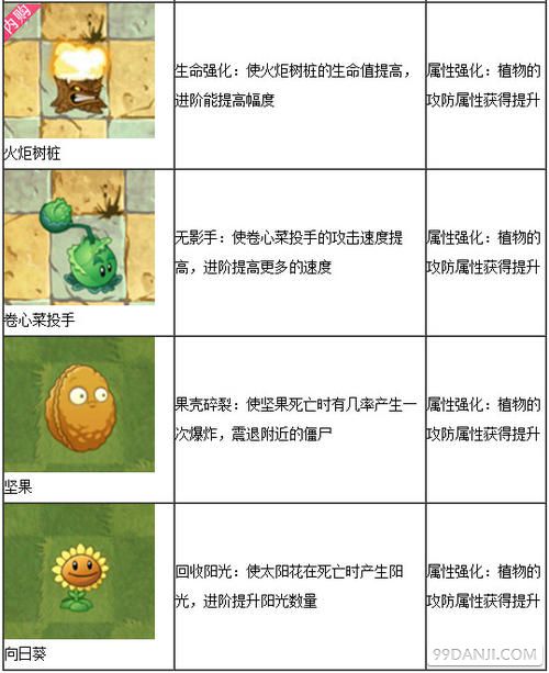 植物大战僵尸2植物进阶技能与属性强化介绍