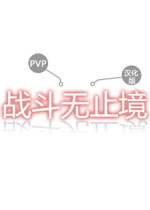 战斗无止境PVP