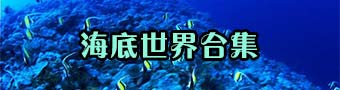 海底世界系列